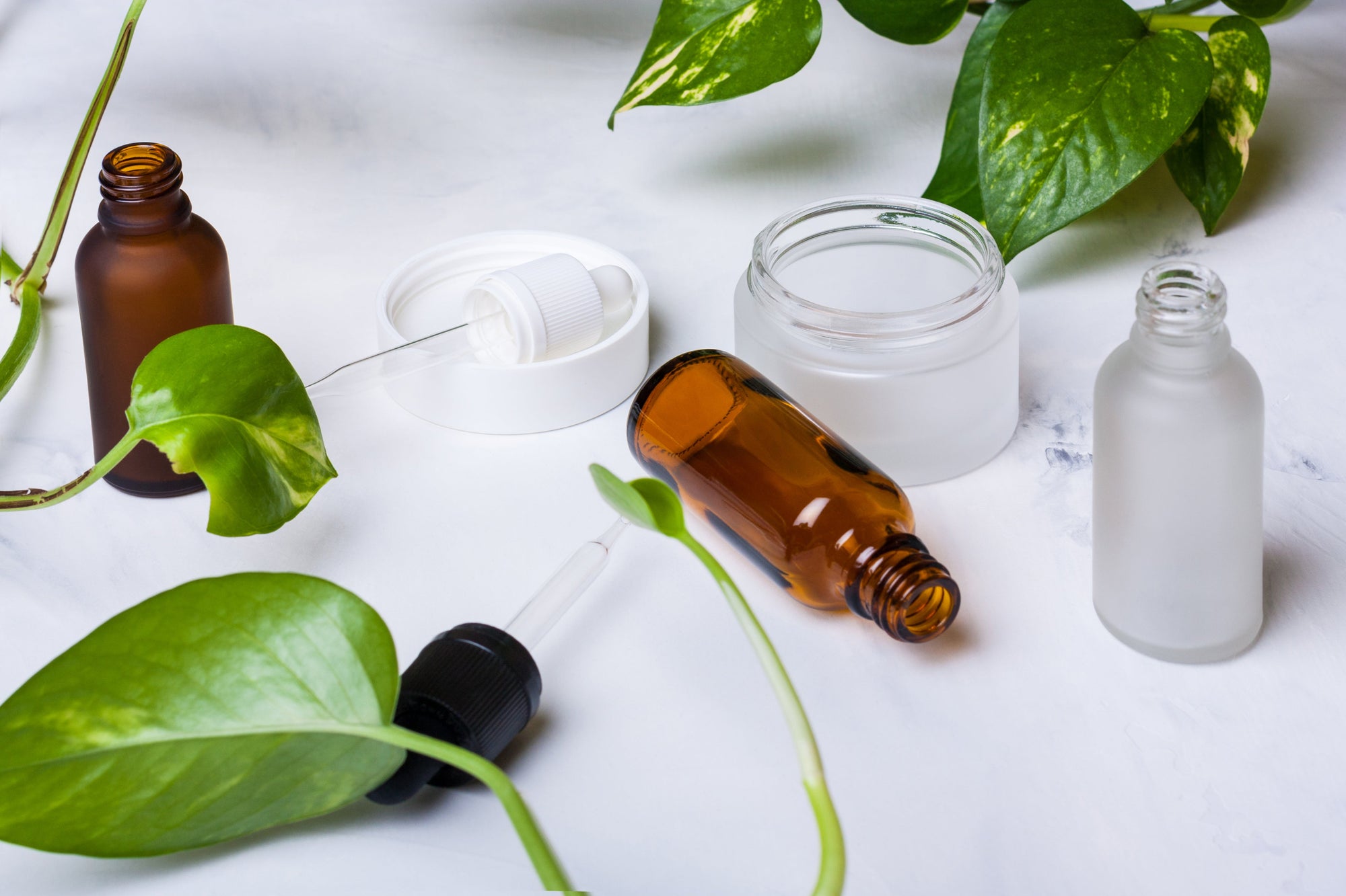 Why Organic September Matters to INKY Ingredients