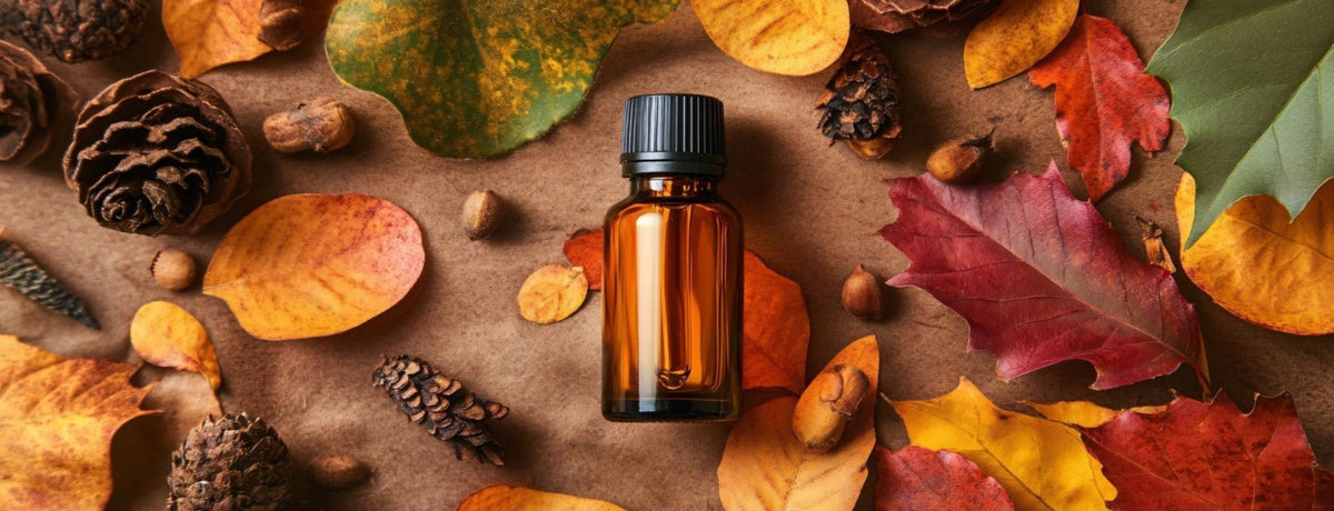 Autumn Is Here: Meet The Ingredients Behind Our New Season Edit