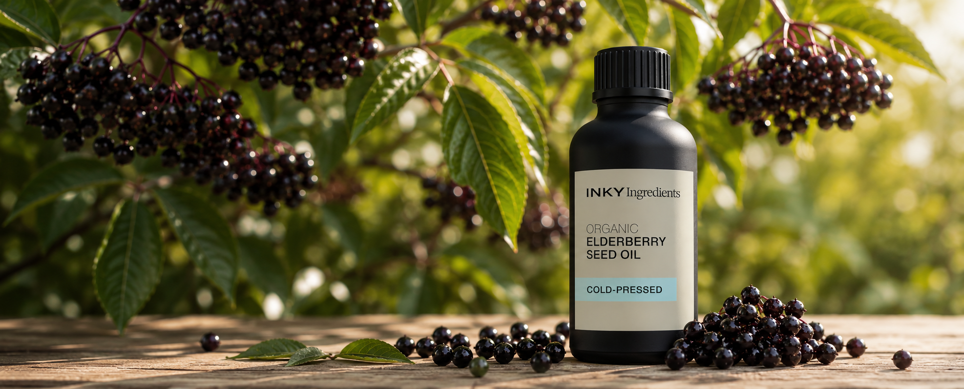 Elderberry Seed Oil: Benefits For Skin And How To Use It
