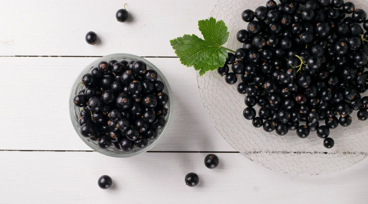 Blackcurrant Seed Oil: The GLA-Rich Autumn Oil Every Small Maker Should Try
