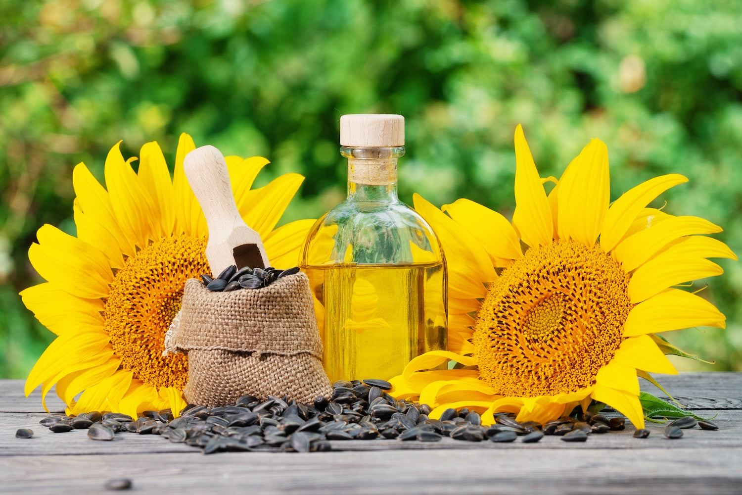 Sunflower Seed Oil 