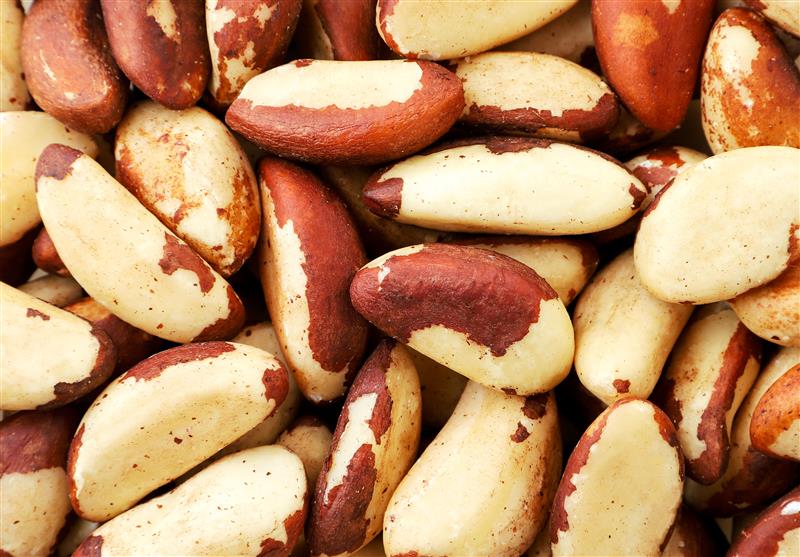 brazil nuts