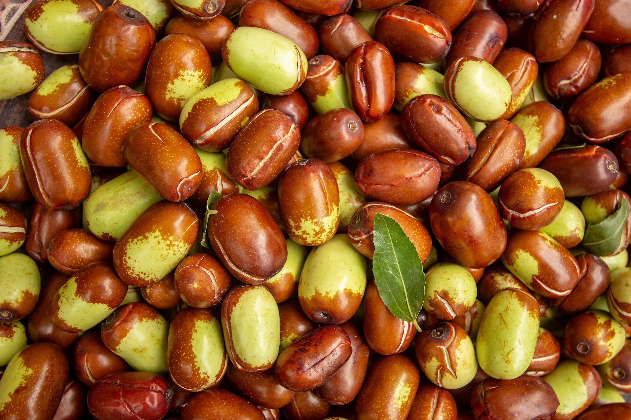 From Seed to Skin | Jojoba Oil